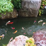Shabutarou - 大雨☔️☔️で池が綺麗✨✨✨鯉、金魚ちゃんご機嫌o(〃^▽^〃)oあははっ♪