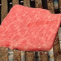 Beef Laboratory - 