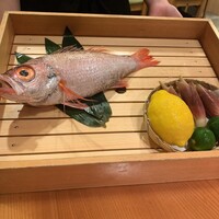 のどぐろ専門 銀座 中俣 - 