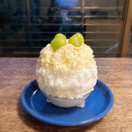 TRICO - シャインディプロマット