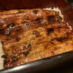 Unagi Takeda - 