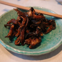 CINA New Modern Chinese - 