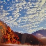 ホテル四季彩 - こんな紅葉が見られます