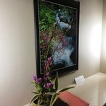 ホテル四季彩 - ホテル内には四季の花々が。。。