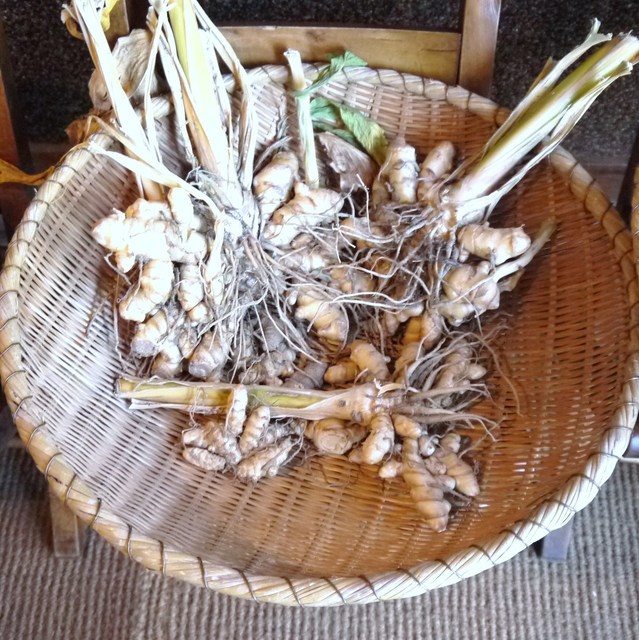 名古屋でヘルシーランチ 食べログまとめ