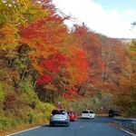 ホテル四季彩 - いろは坂の紅葉