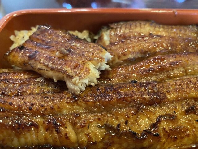 うなぎ二葉 うなぎ ふたば 東本願寺前 うなぎ 食べログ うなぎ二葉 うなぎ ふたば 東本願寺前 うなぎ 食べログ
