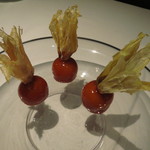 フロリレージュ - ほおずき