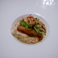 カンテサンス - 