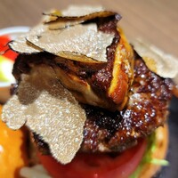 ダルマット 六本木ヒルズ店 - 