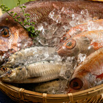 ◆魚海船隊的魚，生魚片為什麽好吃?
