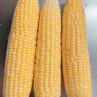 樺戸郡月形町北農場でおすすめのグルメ情報をご紹介 食べログ 樺戸郡月形町北農場でおすすめのグルメ情報をご紹介 食べログ