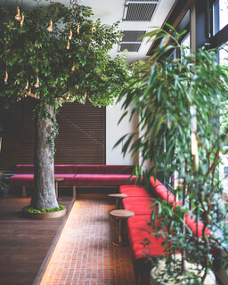 つるとんたん UDON NOODLE Brasserie - 