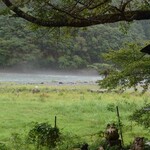 くつきそば 永昌庵 - 