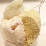 メルノワ（手前左）、ピスタチオ（手前右）、アレキサンドリア（奥）