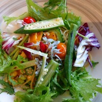 PASTA HOUSE AWkitchen FARM 多摩センター店 - 夏野菜としらす のペペロンチーノ