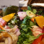 味噌dining cotokama - 鎌倉野菜のサラダ