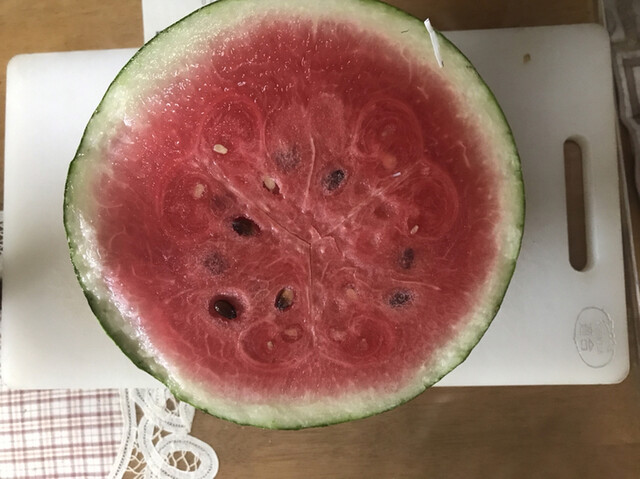 Sakurai Toretore Ichiba