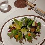 レフェルヴェソンス - 