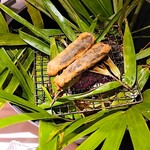 レフェルヴェソンス - 