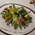 レフェルヴェソンス - 