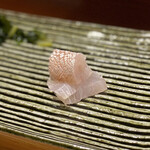 鮨匠 のむら - 汐っ子(勘八の若魚)(鹿児島県開聞岳沖産)