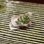 鮨匠 のむら - 白鯵(根付き真鯵)(鹿児島県開聞岳沖産)