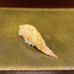 鮨匠 のむら - 波管髭海老(鹿児島県錦江湾産、210m)