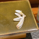 鮨匠 のむら - 蝦蛄の爪(鹿児島県出水産)