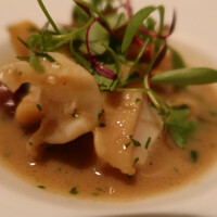 カンテサンス - 