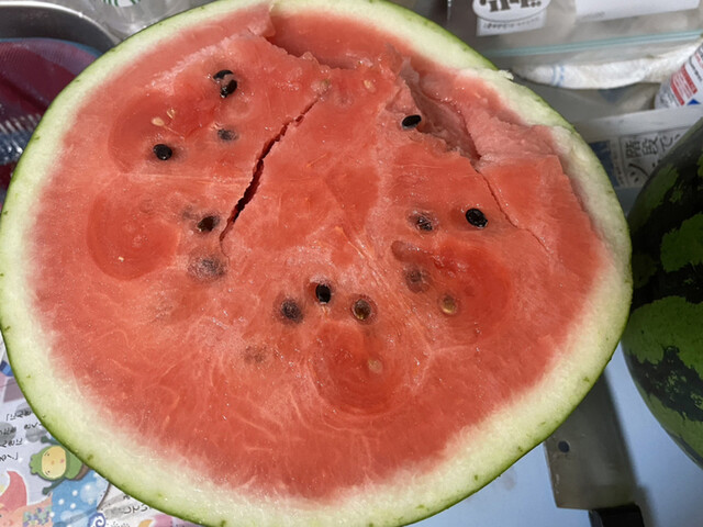 笹原西瓜農園 - 大石田（その他）の写真