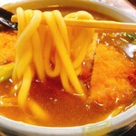 びっくりうどん 三好野 - カツカレーうどん
うどんアップ