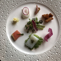 サンシャイン クルーズ・クルーズ - 