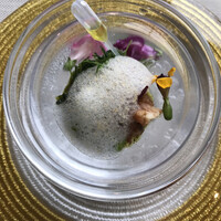 サンシャイン クルーズ・クルーズ - 