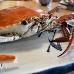 まるは食堂旅館 - 