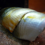 日本橋橘町　都寿司 - 