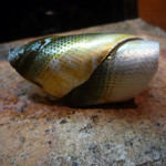 日本橋橘町　都寿司 - 