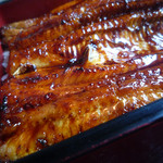 うなぎ亭 友栄 - 上うな重ズームアップ