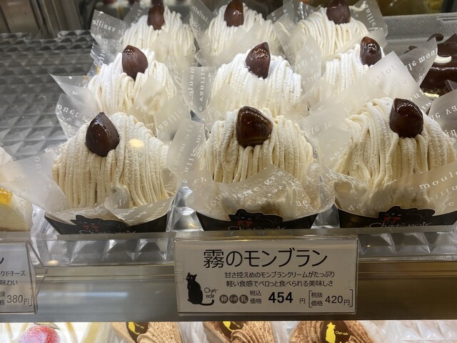 Chat noir Neyagawa Ten photo 3