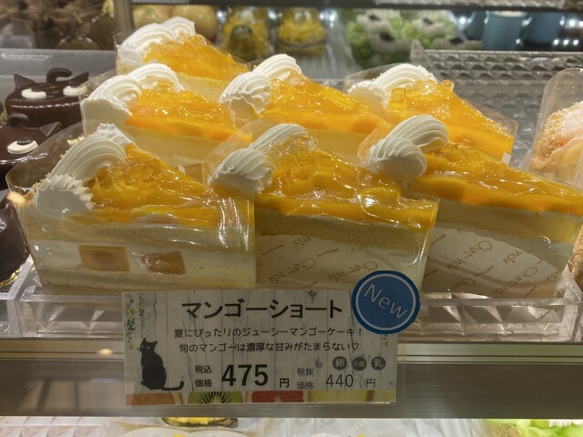 Chat noir Neyagawa Ten photo 5