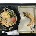 Hanamaru Udon - 明太おろししょうゆ　小　温　３２０円
                      有頭海老天　１７０円