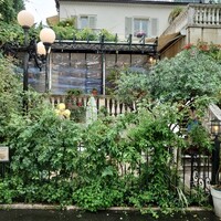 表参道バンブー - 店舗外観
                    植物が生い茂る!