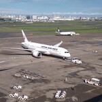 一〇そば - 787は好きな機体です