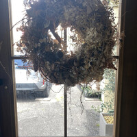 コレドガーナ - 