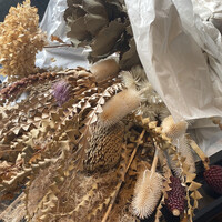 コレドガーナ - 