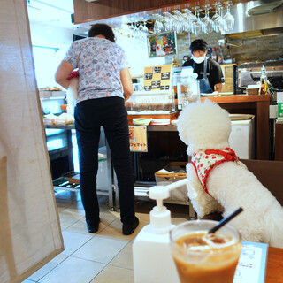 アンディカフェ_2