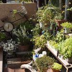 アオイクカフェ - さりげない自転車がアクセント＾＾