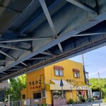 つちのこ - 