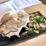 もーりーとはっちゃん - 