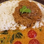 Shishikari - シシカリ流 牛塊肉のスパイス煮込みカレー